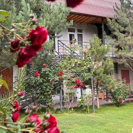 Podsolnukhi Guest House شولبون آتا المظهر الخارجي الصورة
