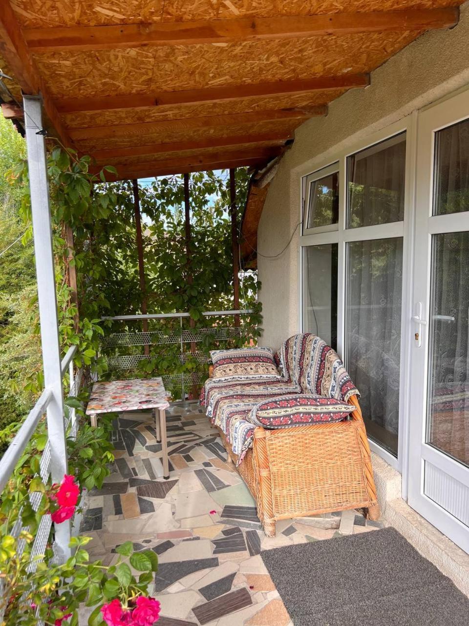 Podsolnukhi Guest House شولبون آتا المظهر الخارجي الصورة