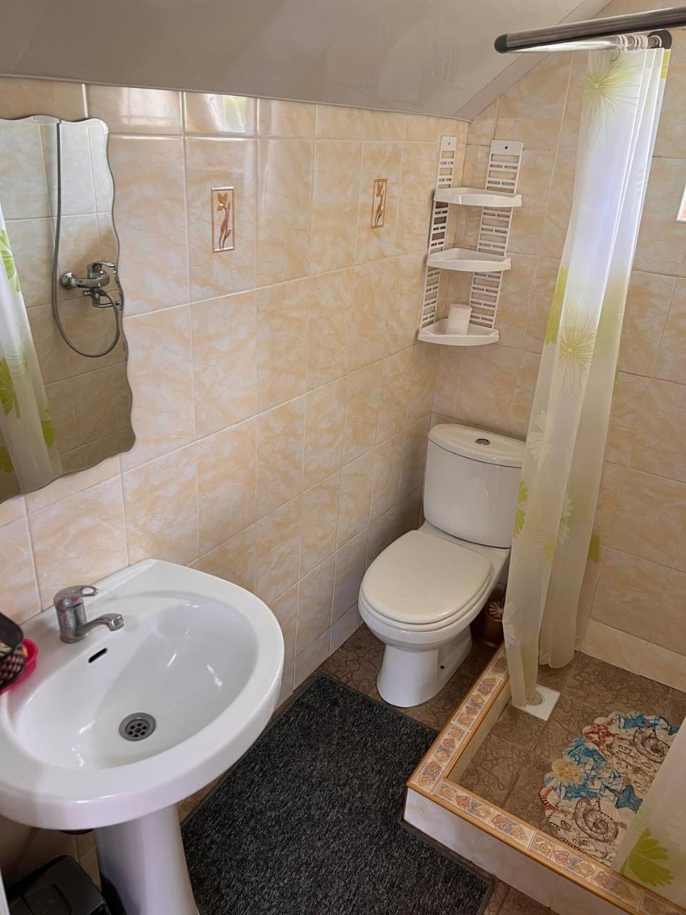 Podsolnukhi Guest House شولبون آتا المظهر الخارجي الصورة