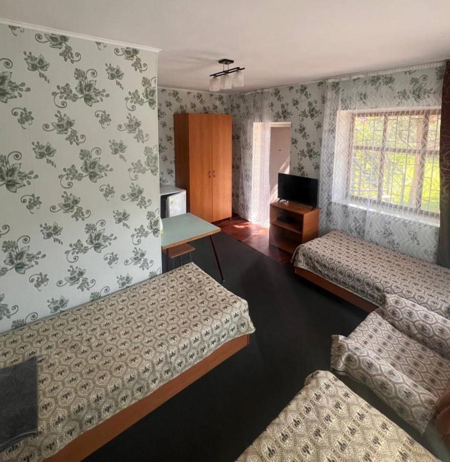 Podsolnukhi Guest House شولبون آتا المظهر الخارجي الصورة
