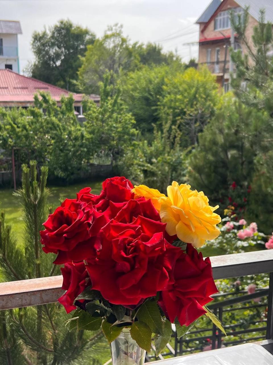 Podsolnukhi Guest House شولبون آتا المظهر الخارجي الصورة