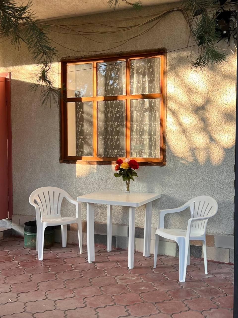 Podsolnukhi Guest House شولبون آتا المظهر الخارجي الصورة