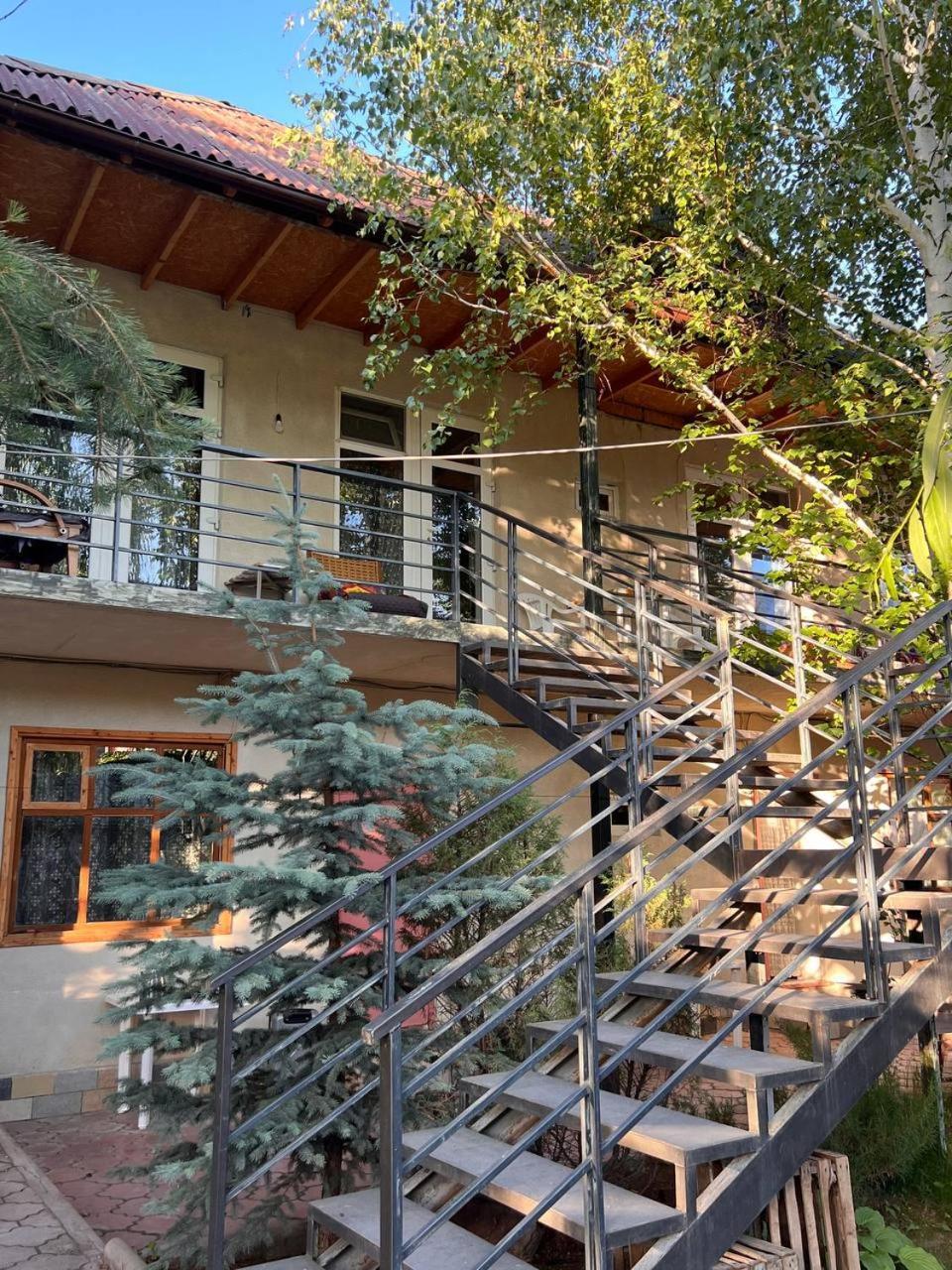 Podsolnukhi Guest House شولبون آتا المظهر الخارجي الصورة